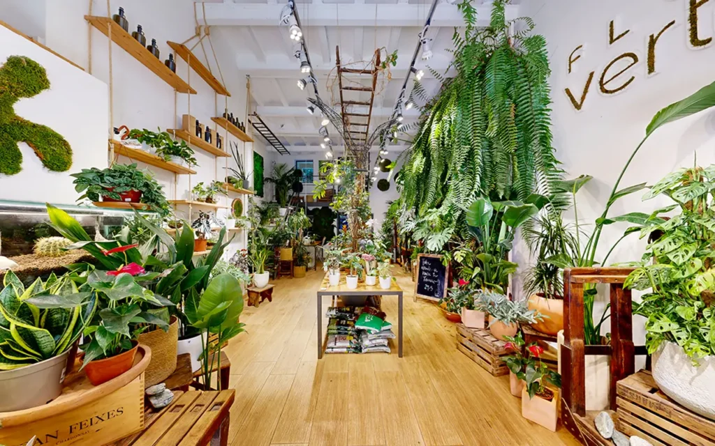 Google Maps Virtual Tour for Flora Vertical, a Plant and Garden Design Studio